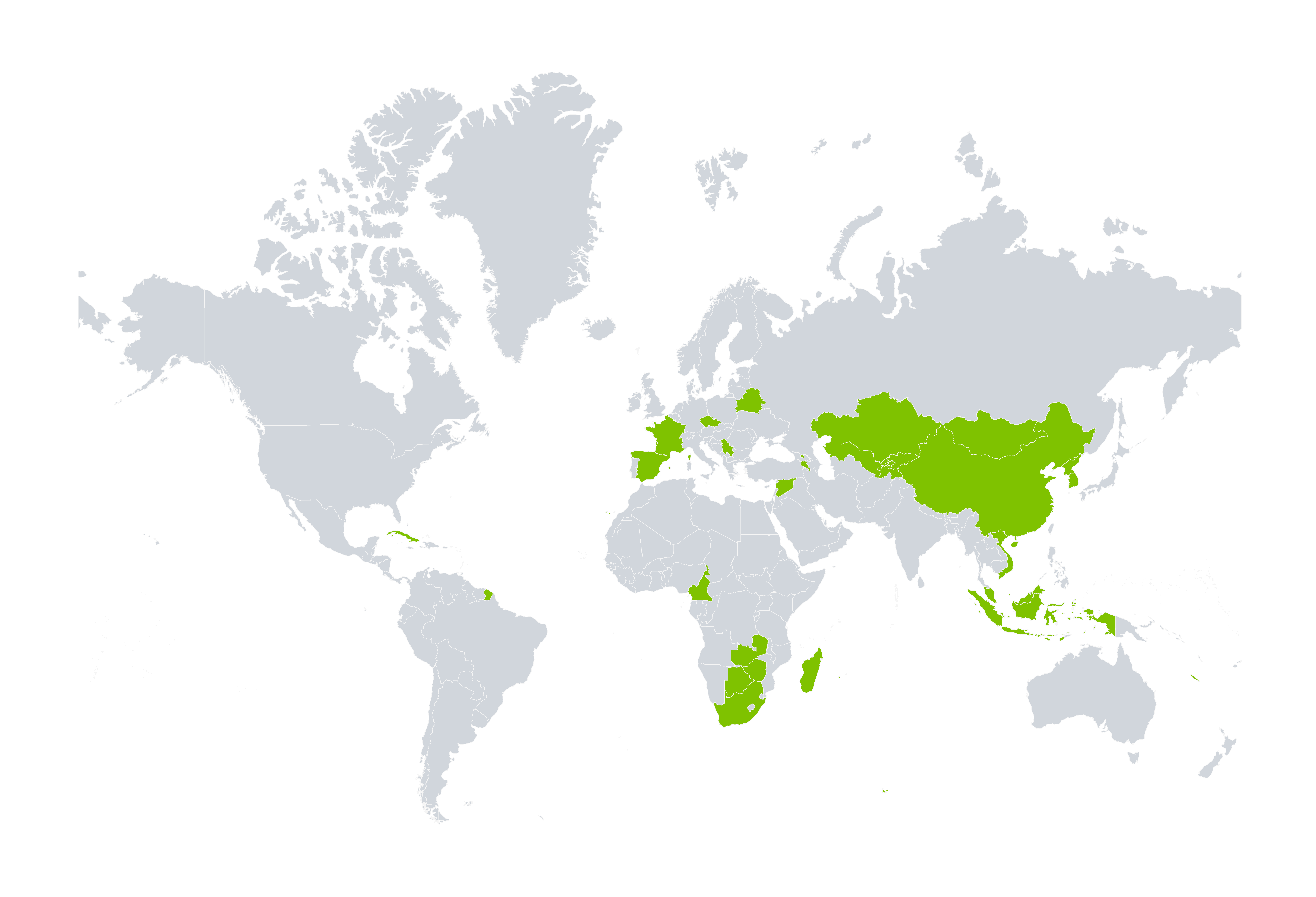 World map