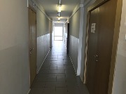 IMG_6554.jpg