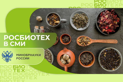 Профессор РОСБИОТЕХа рассказала, как и чем можно разнообразить свое чайное меню