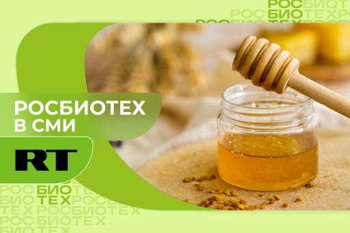 Россиянам объяснили, при каком условии мёд становится вредным