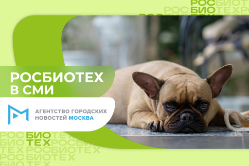 Профессор РОСБИОТЕХа назвал признаки депрессии и тревоги у собак