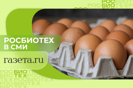 Россиянам объяснили, почему невозможно определить в магазине яйца, которые легко чистятся
