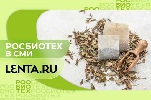 Россиянам назвали важное правило хранения чайных пакетиков