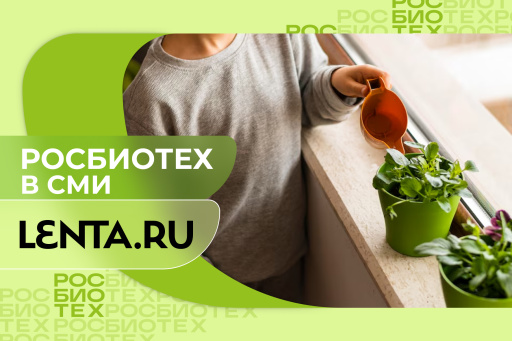 Россиянам назвали способ избавиться от насекомых в квартире без химикатов