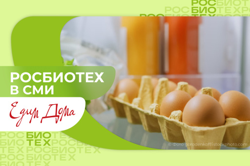 Правила хранения куриных яиц от эксперта