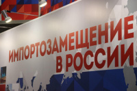 Проблемы импортозамещения и безопасности регионального потребительского рынка