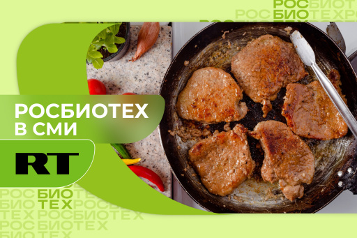 Россиян предупредили о риске развития онкологии из-за пережаренного мяса