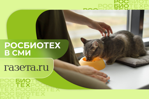 Россиянам рассказали, почему нельзя кормить животных сырым мясом с рынка
