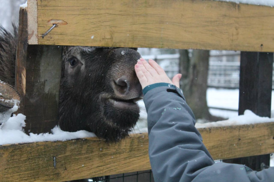 Турклуб РОСБИОТЕХа побывал на Лосином Острове