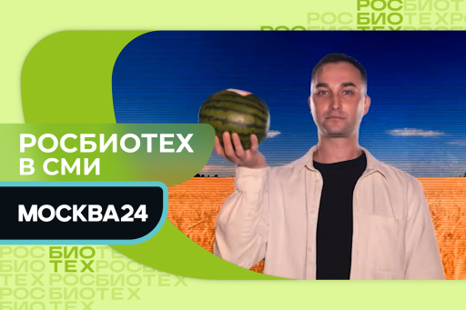 Преподаватель РОСБИОТЕХа рассказал об арбузах