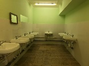 IMG_6533.jpg