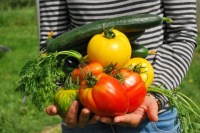 Покупатели органической продукции. Кто они?