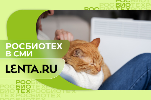Профессор РОСБИОТЕХа назвал опасную для кошек привычку в отопительный сезон