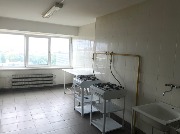 IMG_6551.jpg