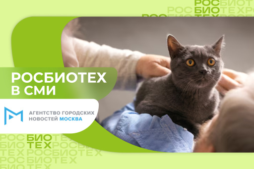 Доцент РОСБИОТЕХа рекомендует играть с кошкой два-три раза в день