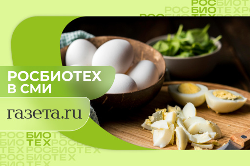 Россиянам объяснили, спасает ли мытье яиц от сальмонеллеза