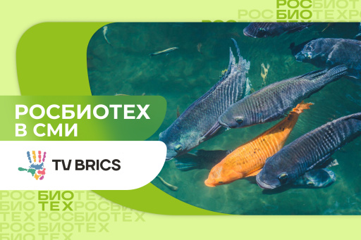 Ученые из России и Вьетнама открывают новые возможности для сохранения водной экосистемы 