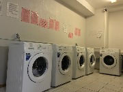 IMG_6521.jpg