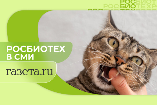 Эксперты оценили риски пандемии птичьего гриппа из-за заражения кошек