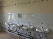 IMG_6531.jpg