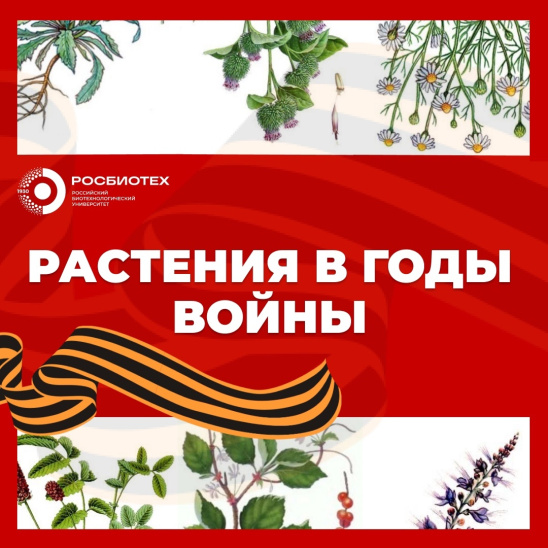 Биологи РОСБИОТЕХа открыли новую научную страницу о Великой Отечественной войне