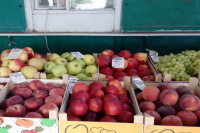 Итоги проверок плодовоовощной продукции