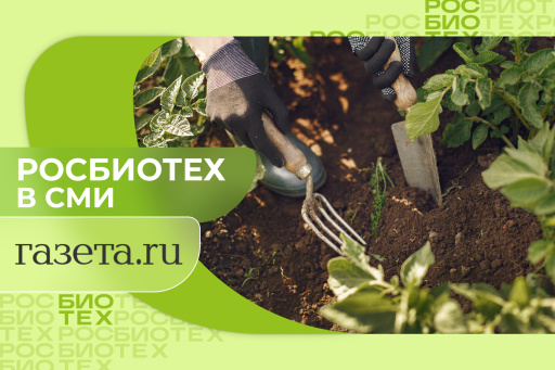 Доцент РОСБИОТЕХа посоветовала эффективное и доступное удобрение с грядки