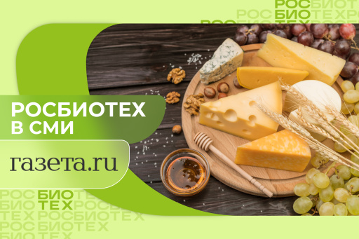 Технолог РОСБИОТЕХа назвала безопасную дневную норму сыра для пожилых гипертоников