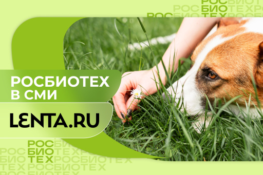 Россиян предупредили об опасных последствиях укусов насекомых у питомцев