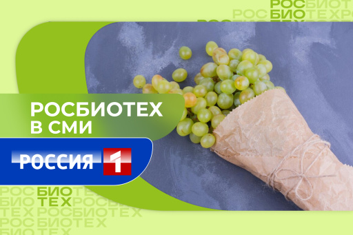 Доцент РОСБИОТЕХа рассказала о пользе и вреде винограда «Шайн Мускат»