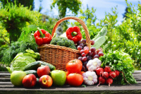 Федеральный закон об экологически чистой продукции