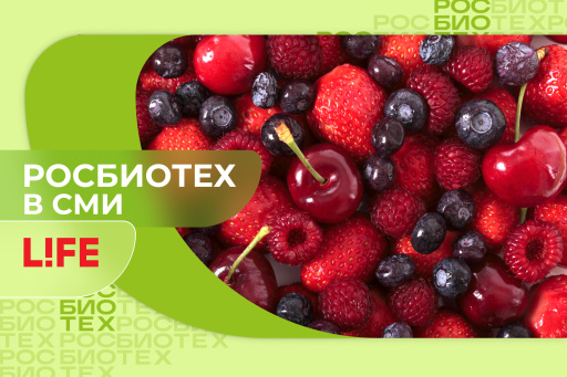 Эксперт РОСБИОТЕХа объяснил, как выбрать вкусные ягоды без риска для здоровья