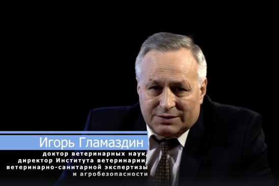 Доктор ветеринарных наук Игорь Геннадьевич Гламаздин в научно-просветительском проекте «Наука Про»