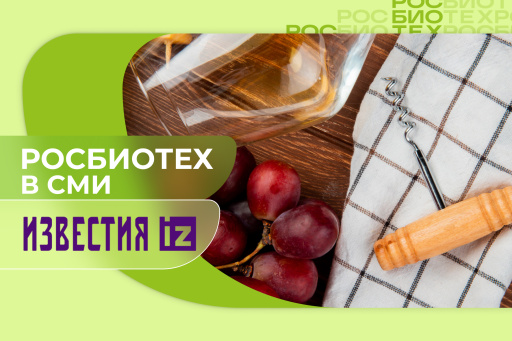Доцент РОСБИОТЕХа рассказала об опасности домашнего вина