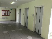 IMG_6557.jpg