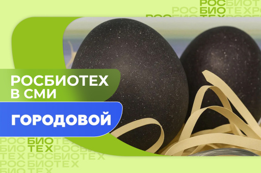 Эксперт РОСБИОТЕХа рассказал, чем лучше красить яйца